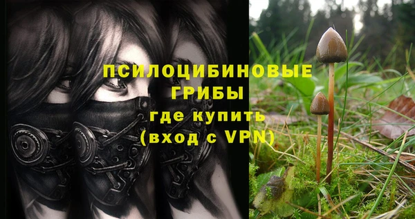мет Балахна